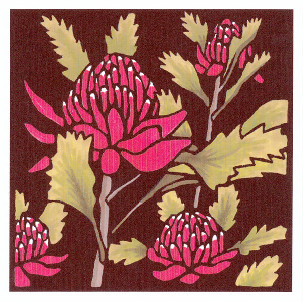 Lyn Randall - Native Plants - Waratah