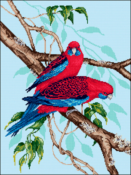 Birds - Lee Daynes - Crimson Rosellas