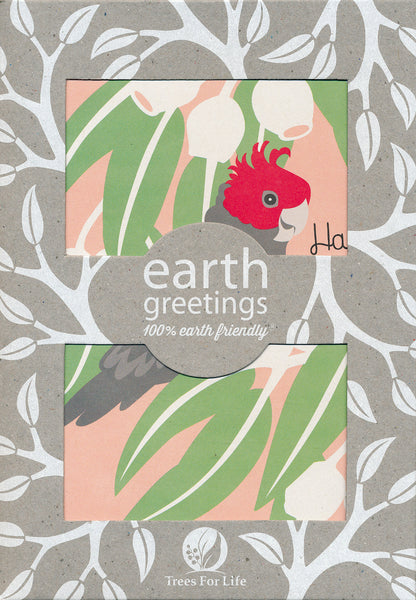 Earth Greetings - Pack of 10 Christmas cards
