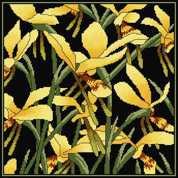 Native Plants - Lyn Randall - Orchids
