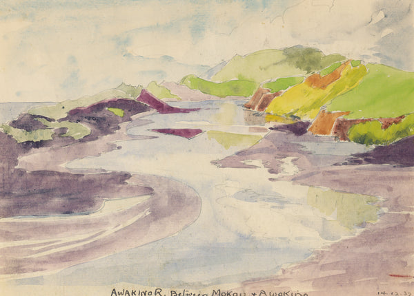 Peter Bousfield - New Zealand - Awakinor River between Mokau and Awakino