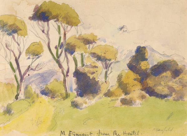 Peter Bousfield - New Zealand - Mt Egmont from the Hostel