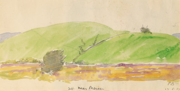 Peter Bousfield - New Zealand - Near Mercer