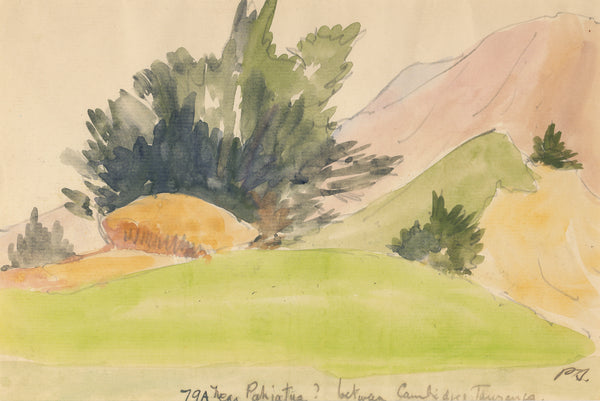 Peter Bousfield - New Zealand - Near Pahiatua between Cambridge and Tourenia