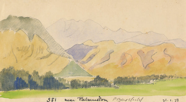 Peter Bousfield - New Zealand - Near Palmerston