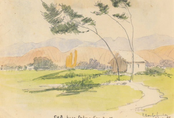 Peter Bousfield - New Zealand - Near Palmerston North