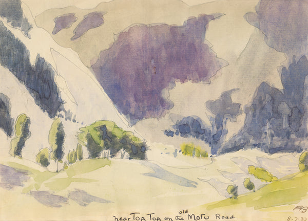 Peter Bousfield - New Zealand - Near Toa Toa on the Old Motu Road