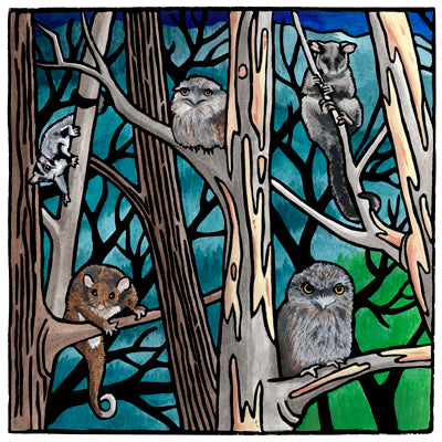 Lyn Randall - Bush 1 - Frogmouths