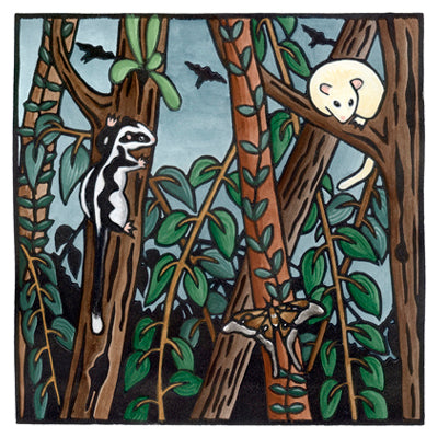 Lyn Randall - Rainforest 6 - Possums