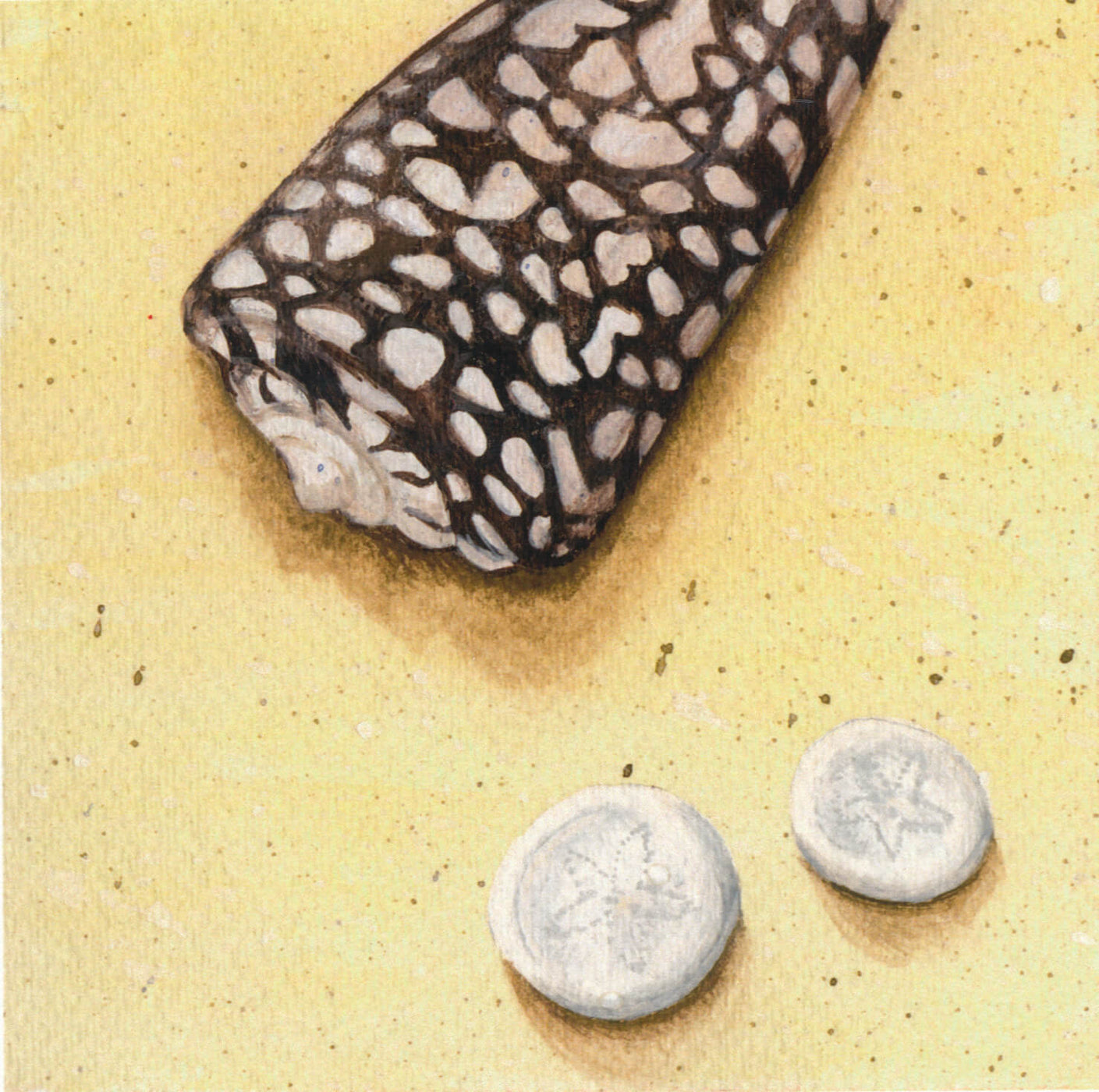Lyn Randall - Shoreline I – Odana Bloomfield