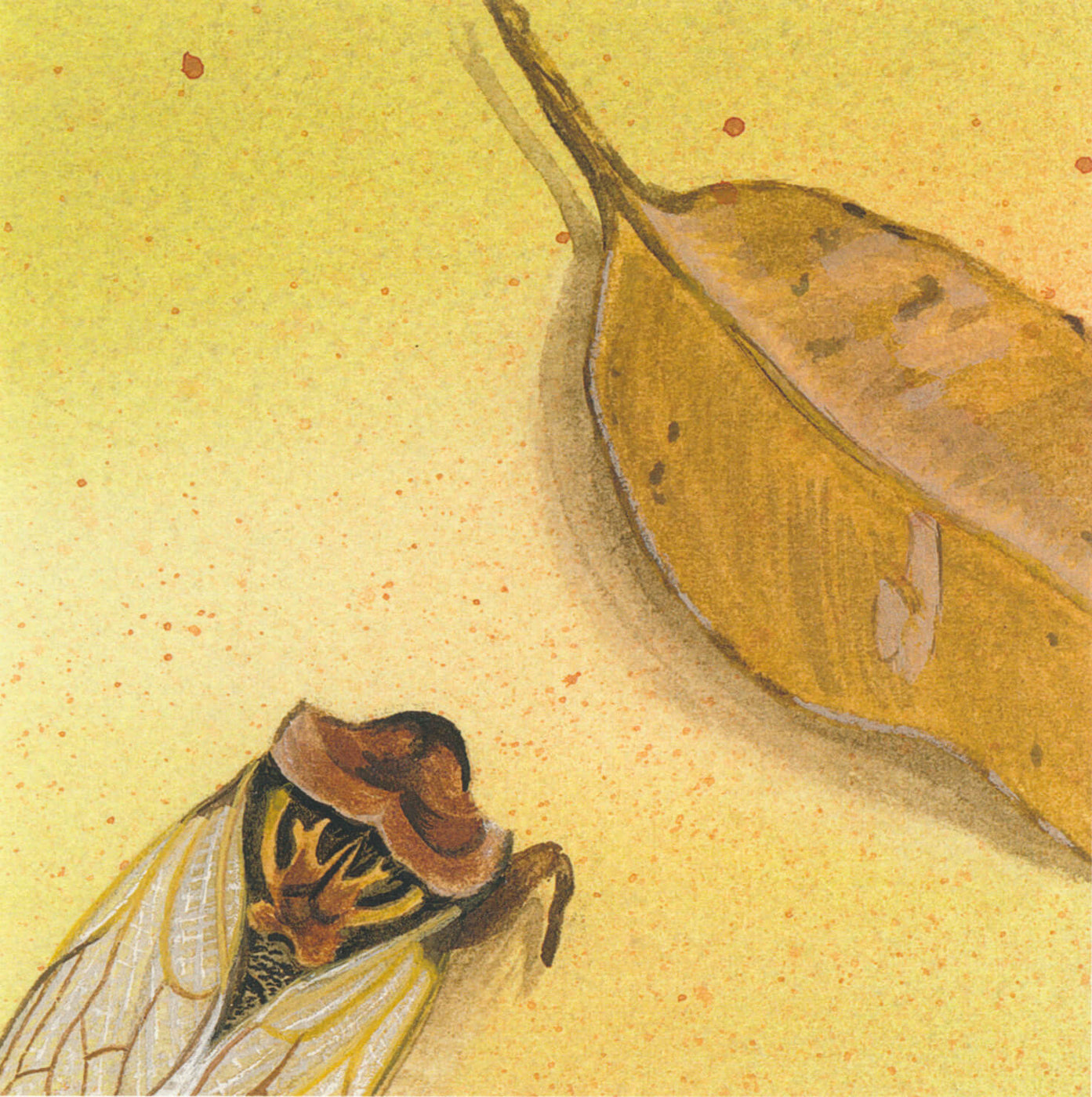 Author Lyn Randal Lyn Randall - Woodland I – Odana Bloomfield