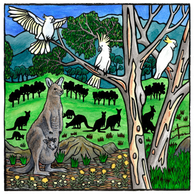 Fine Art Prints