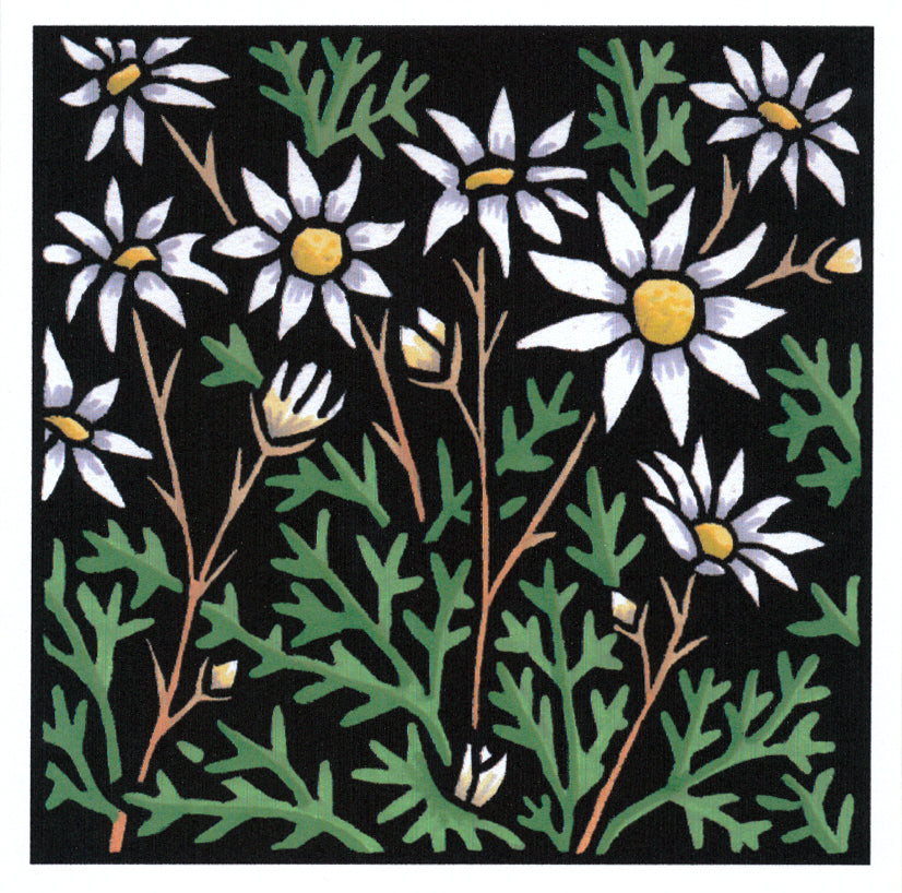 Lyn Randall