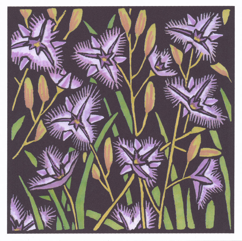 Lyn Randall