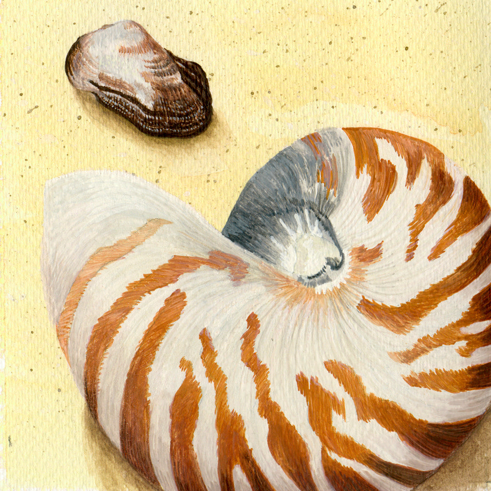 Fine Art prints - 15.5 x 15.5cm