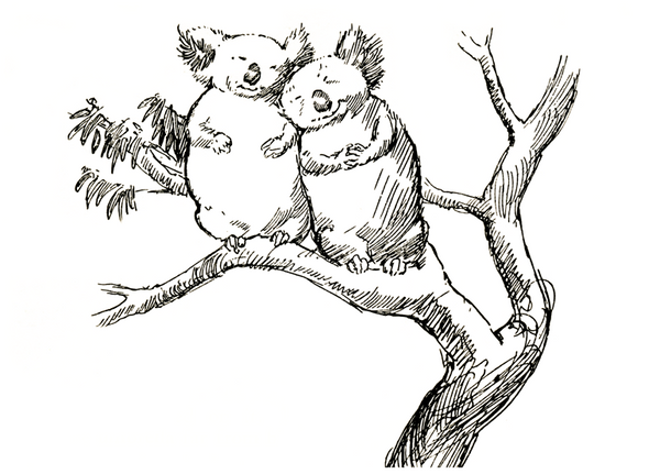 Norman Lindsay - Billy Bluegum - Together, Always
