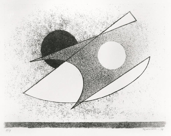 FHL - Shadow Module
