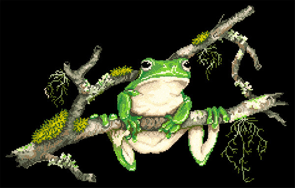 Animals (frogs) - Lee Daynes - Green Tree Frog