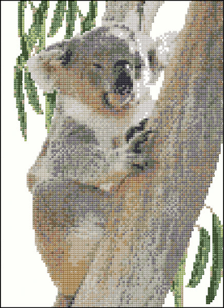 Animals - Lyn Randall - Koala Resting