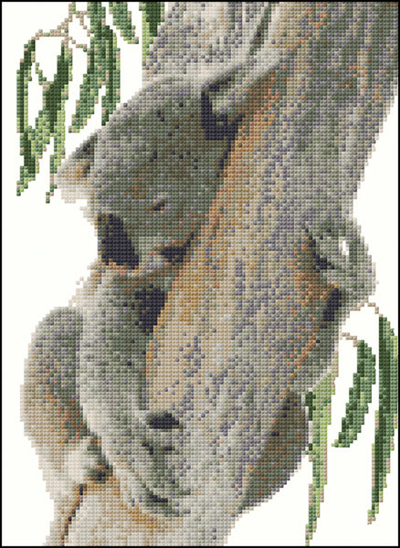Animals - Lyn Randall - Koala Sleeping