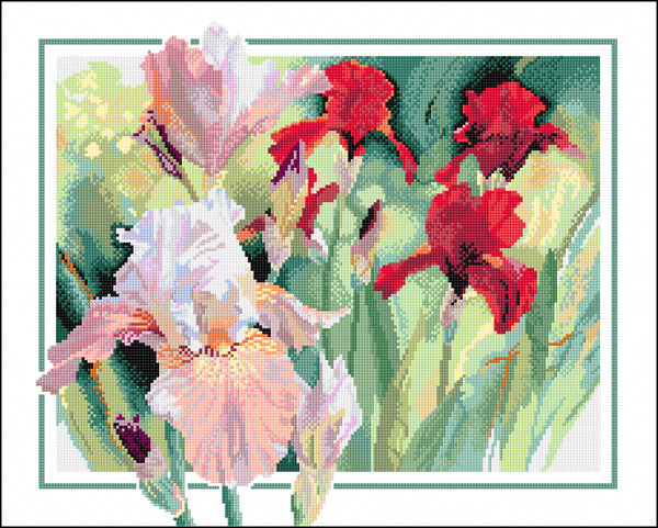 Art - Nancy Tichborne - Bearded Irises