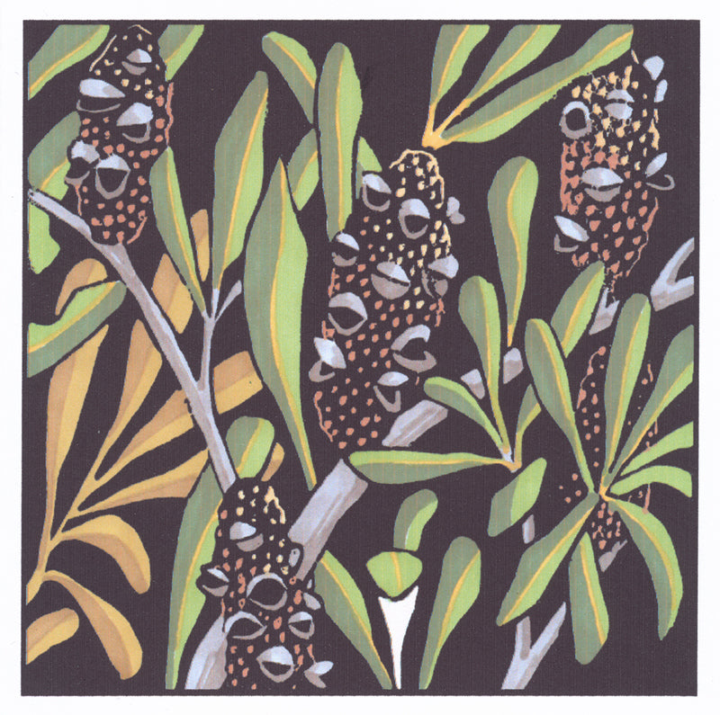 Author Lyn Randal Lyn Randall - Native Plants - Banksia – Odana Bloomfield