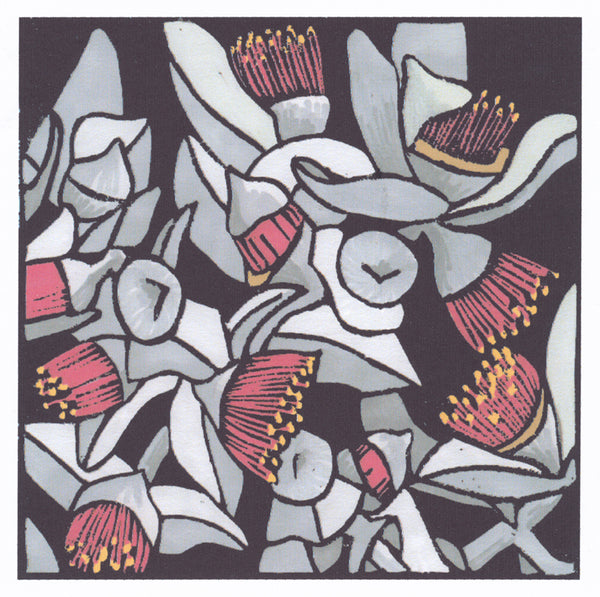 Lyn Randall - Native Plants - Eucalypt