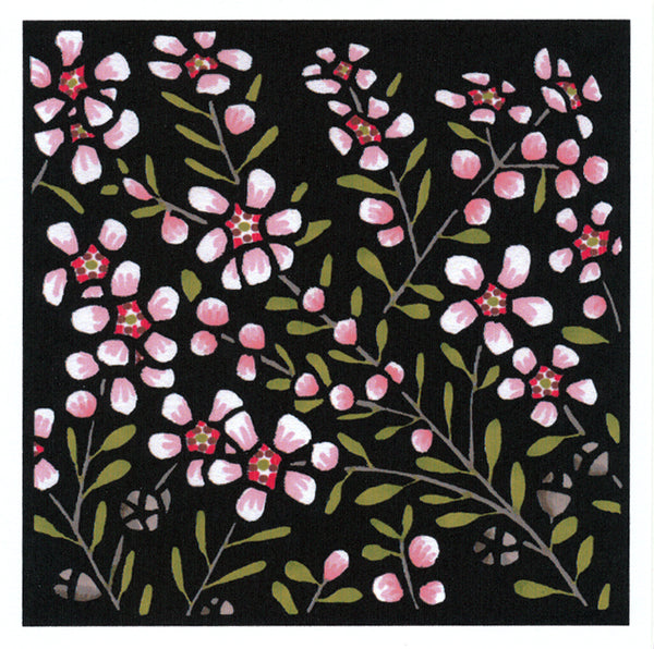 Lyn Randall - Native Plants - Tea Tree