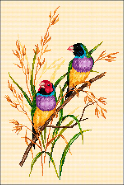 Birds - Lee Daynes - Gouldian Finches