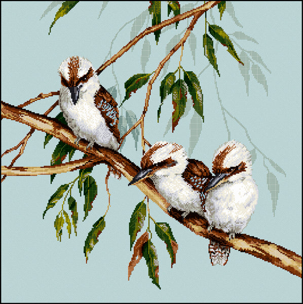 Birds - Lee Daynes - Laughing Kookaburras