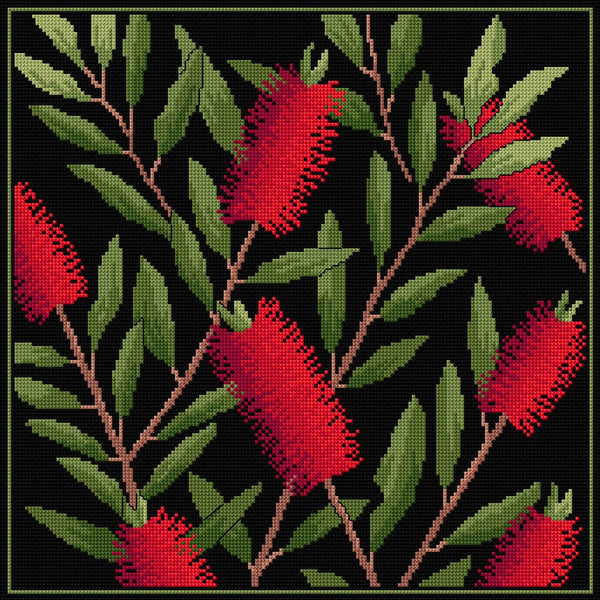 Native Plants - Lyn Randall - Bottlebrush